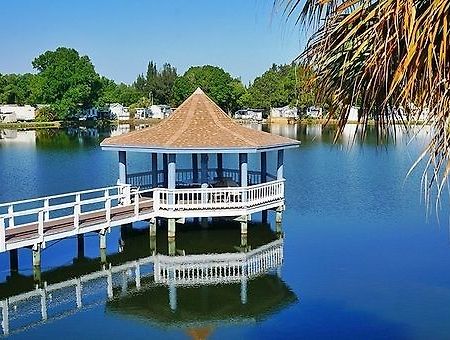 Winter Quarters Pasco Rv Resort - Campground Land O' Lakes Buitenkant foto